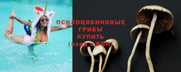 apvp Богородицк