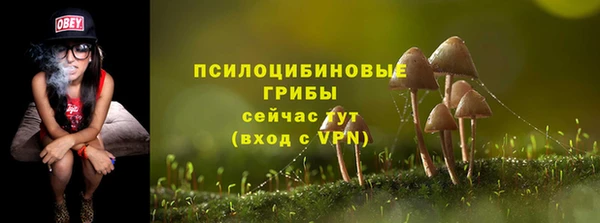 MDMA Premium VHQ Богородск