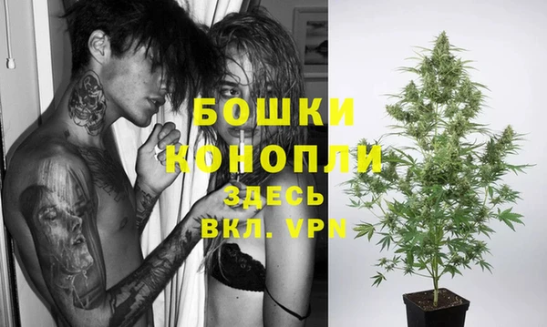 apvp Богородицк