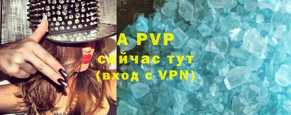 apvp Богородицк