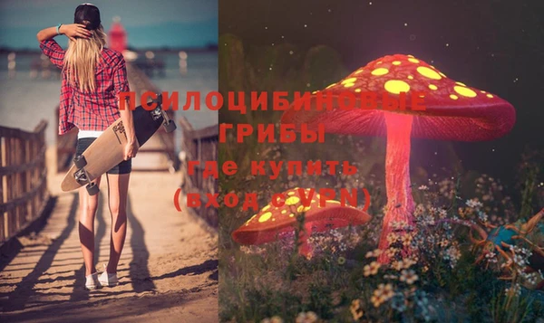 apvp Богородицк