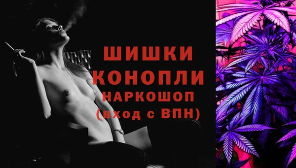 apvp Богородицк