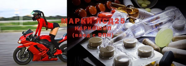 apvp Богородицк