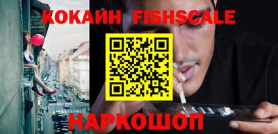 индика Гусев