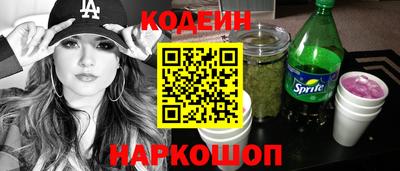 индика Гусев