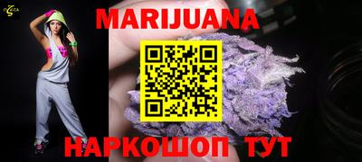 индика Гусев
