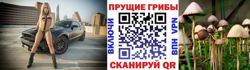 Галлюциногенные грибы прущие грибы  Реж 