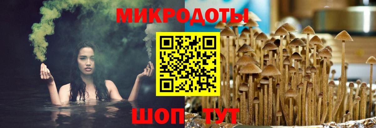 Реж  Псилоцибиновые грибы MAGIC MUSHROOMS  Вход с VPN  Галлюциногенные грибы Psilocybine cubensis 